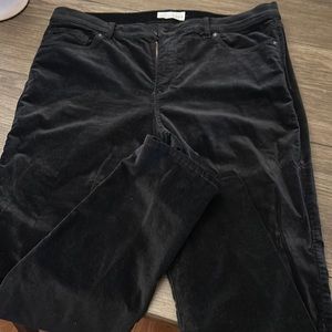 Ann Taylor “velvet” jeans.